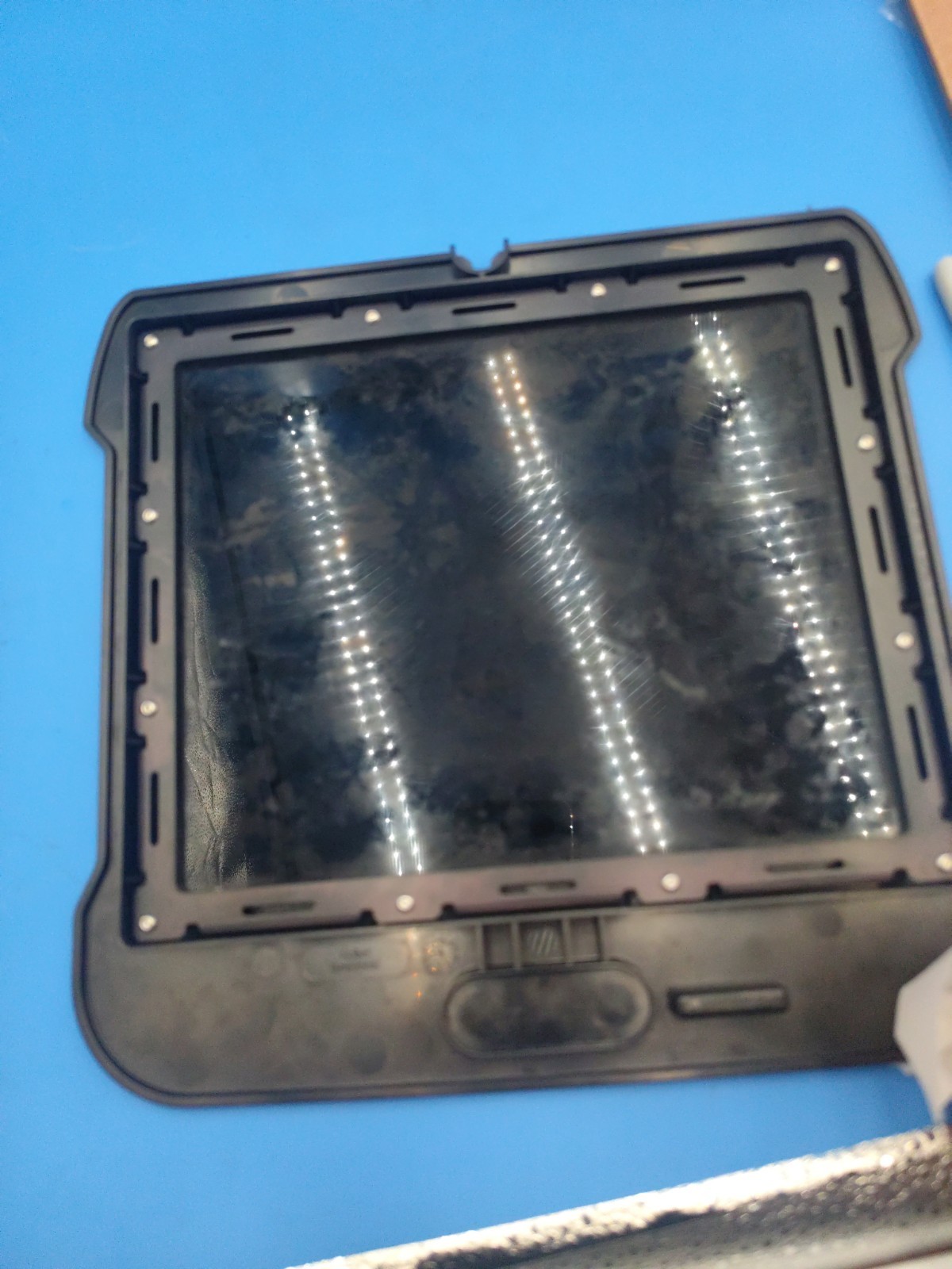 Bio-Rad UV/Stain-Free Tray 16006276