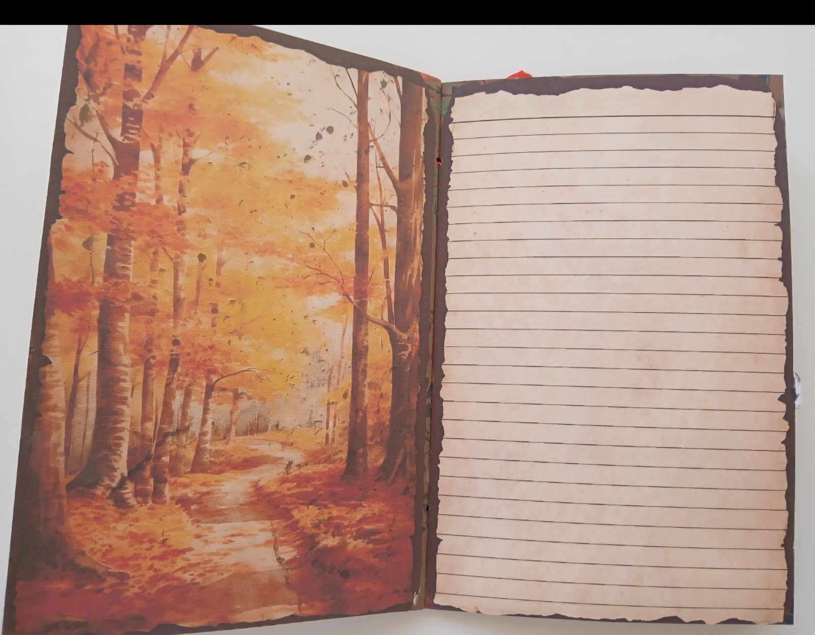 Junk Journal Booklet «WOODLAND CREATURES» HANDMADE Forest Life Lg 5.5″x8.5″ 40p