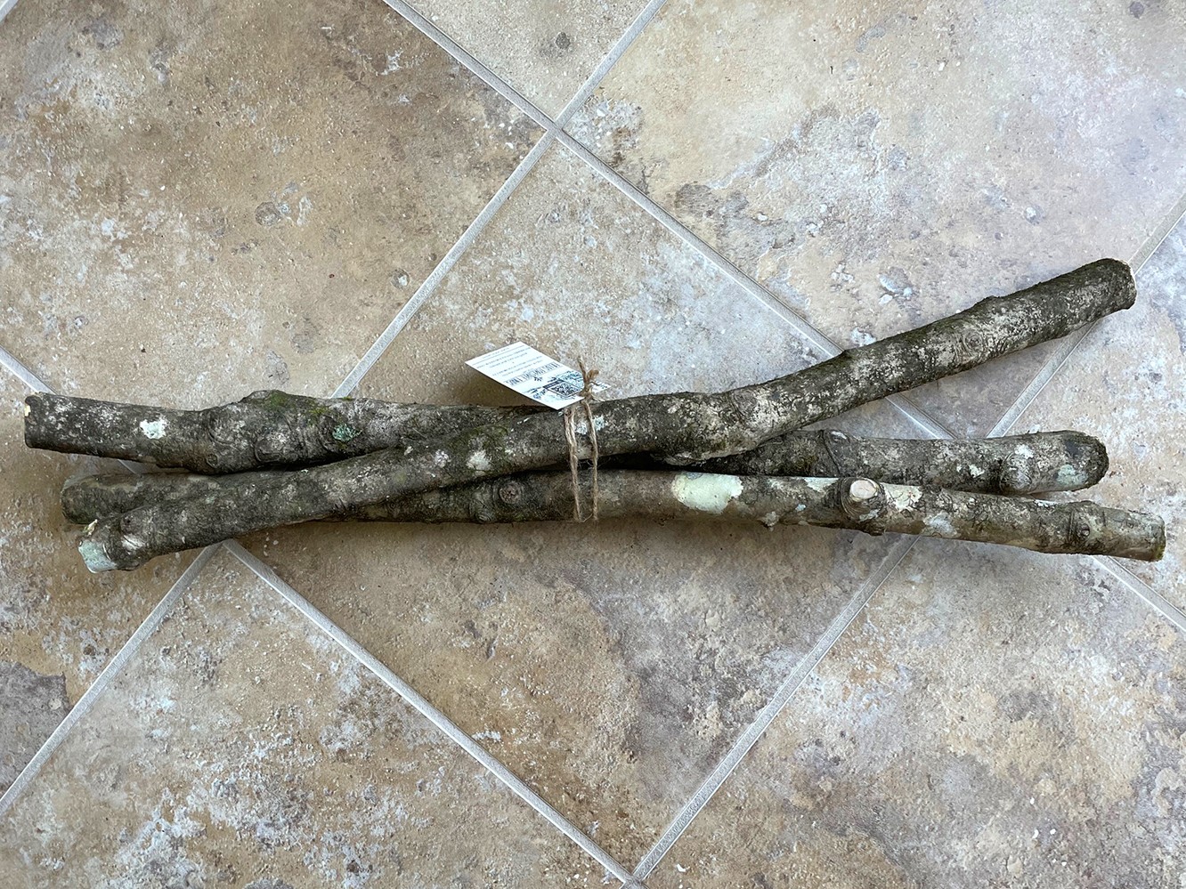 24″ NC Holly Tree Decorative Wood for Carving, Crafts, Wedding, Party Decor