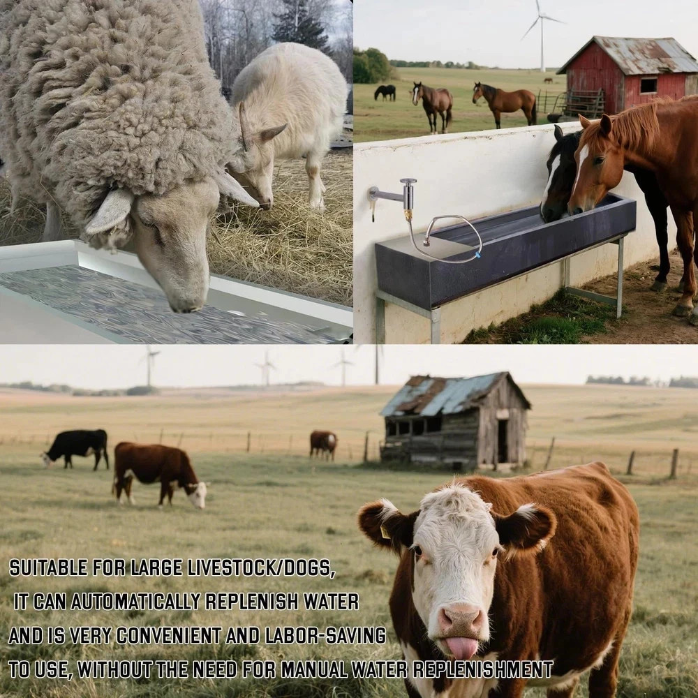 Automatic Livestock Water Trough Animal Stainless Steel Larger Automatic Wate…