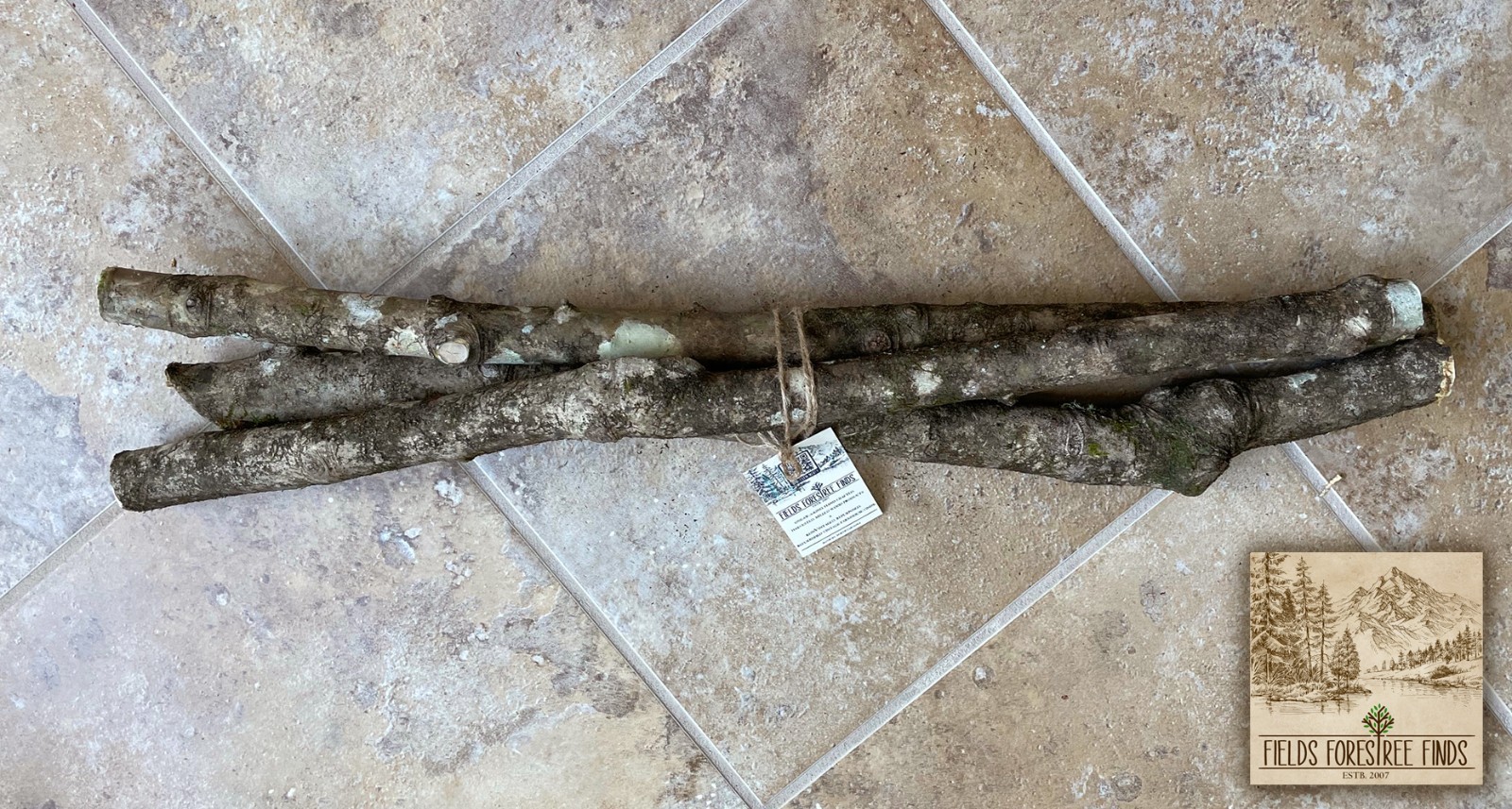 24″ NC Holly Tree Decorative Wood for Carving, Crafts, Wedding, Party Decor