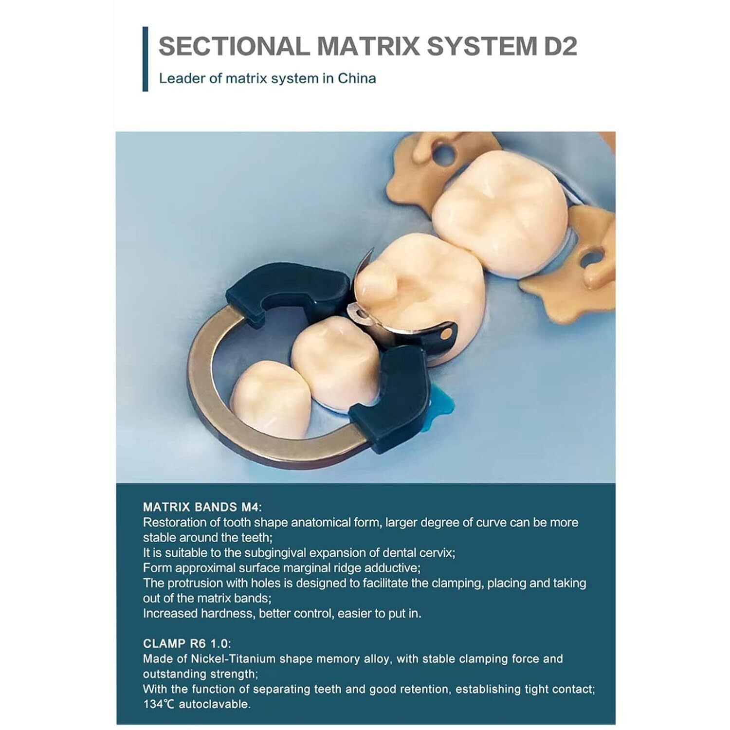 Dental Matrix Bands Ring Sectional Matrice Clamp Fit Garrison Palodent V3 System