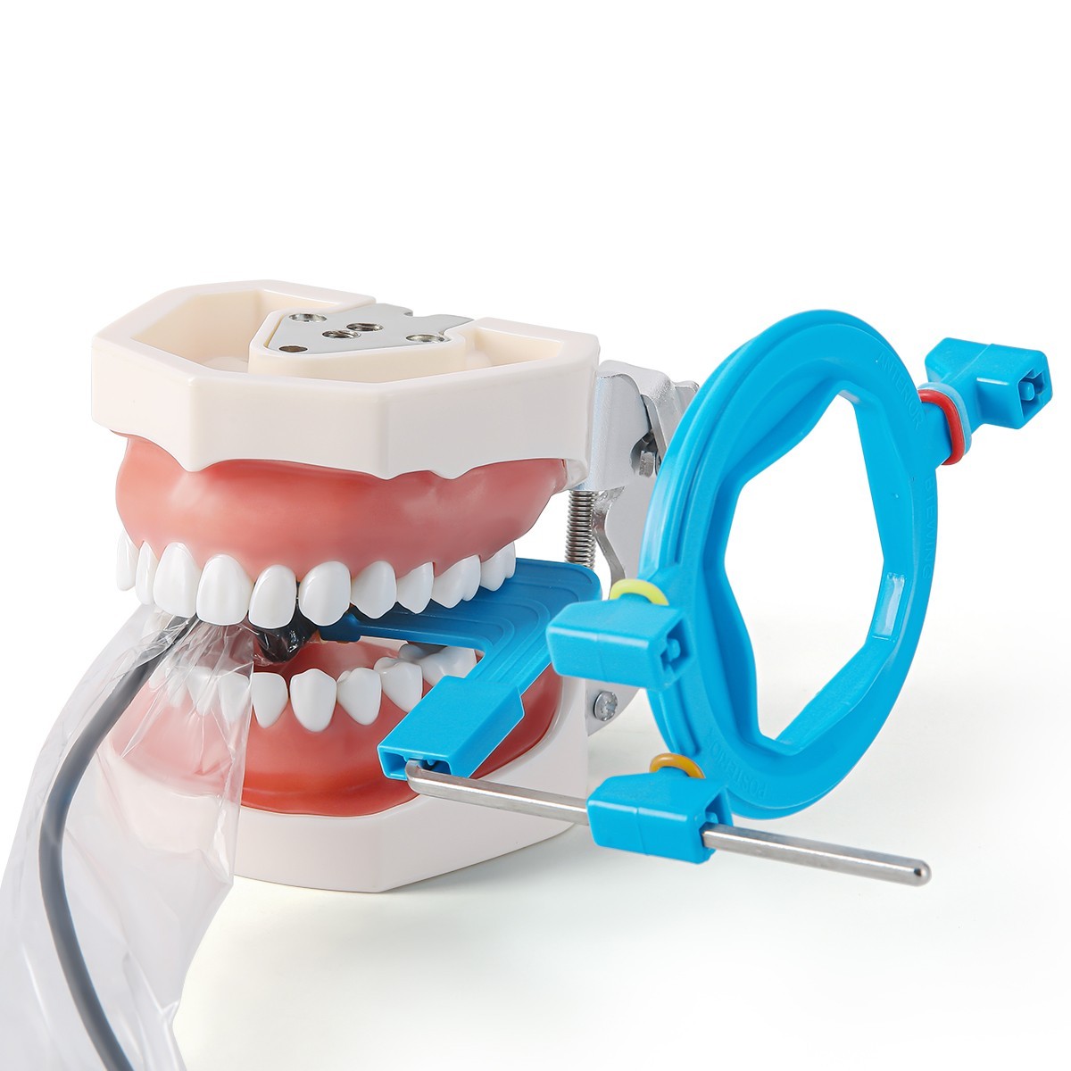 Dental X-Ray Positioner Digital Xray Sensor Holder Oral Film Positioning System