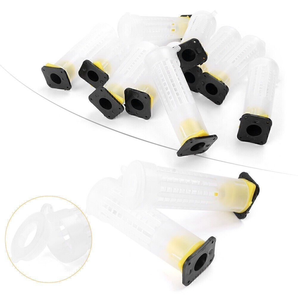 10Pcs Beekeeping Rearing Cup Kit Queen Bee Cages Beekeeper Equipment Tools