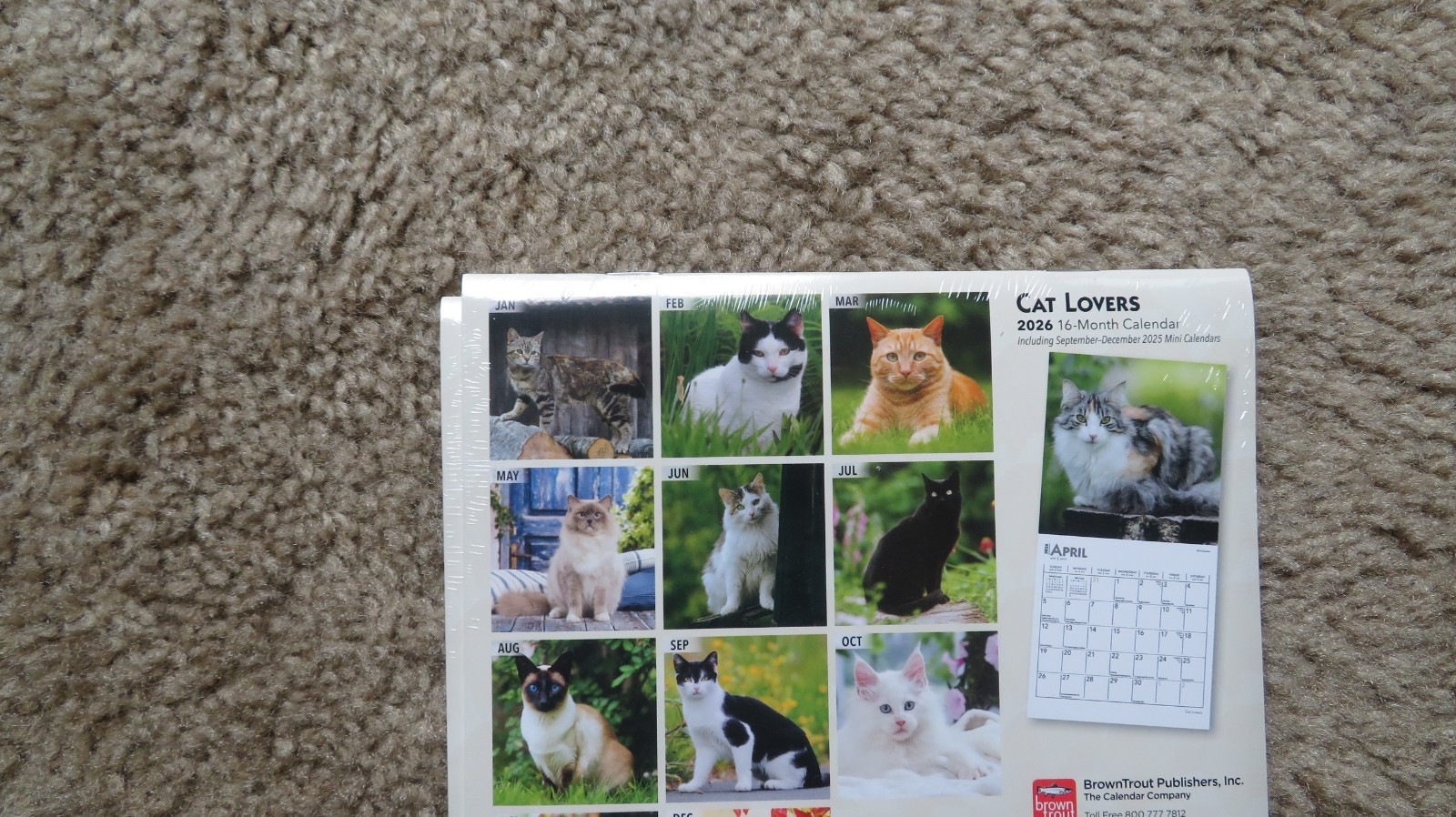 Brown Trout Cat Lovers 2026 Mini Wall Calendar 7″ x 7″ NEW SEALED