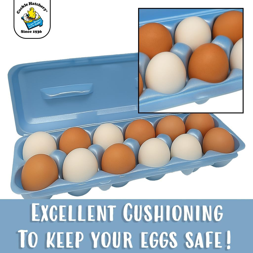 Foam Egg Cartons for Chicken Eggs Holds 1 Dozen Eggs (Assorted, 15Pk)