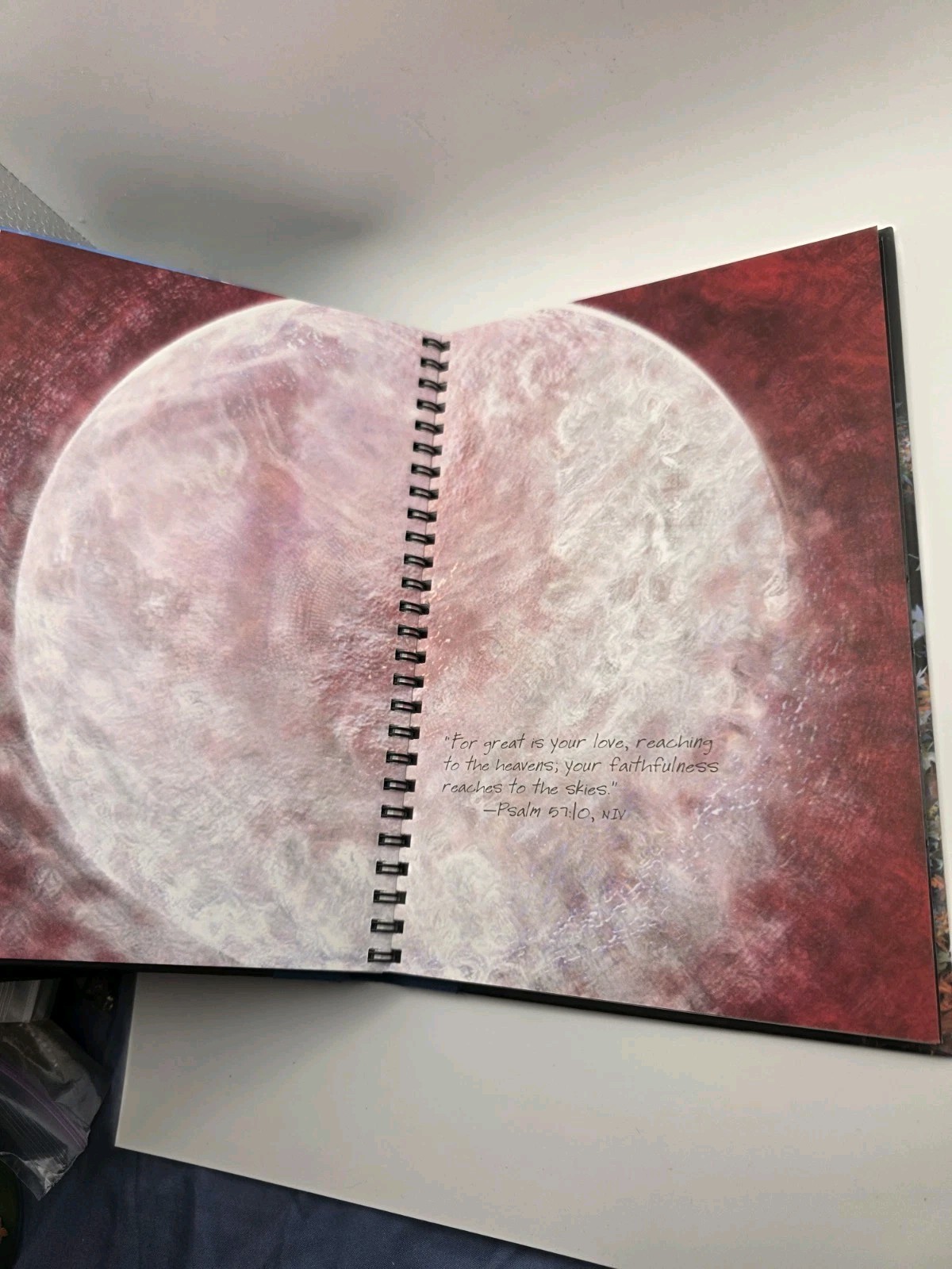 Canvas – RARE Lined Journal Blank Book New draw & Dream