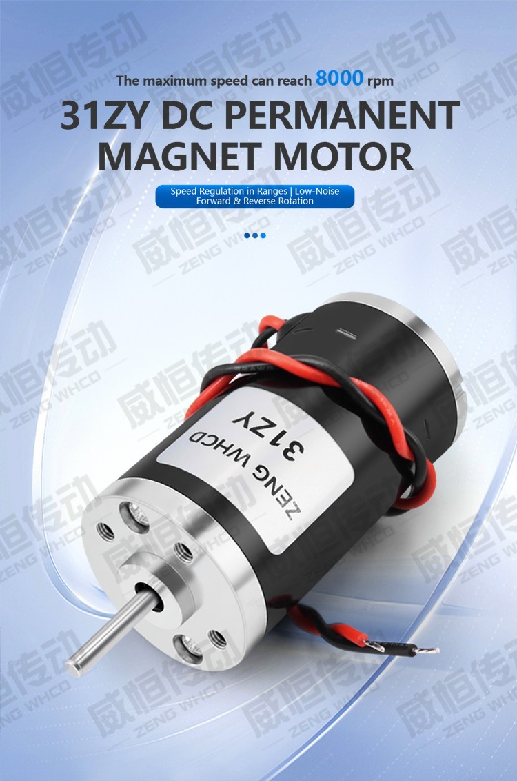 31ZY Permanent Magnet DC Carbon Brush Motor with High Speed ​​4000RPM~8000RPM