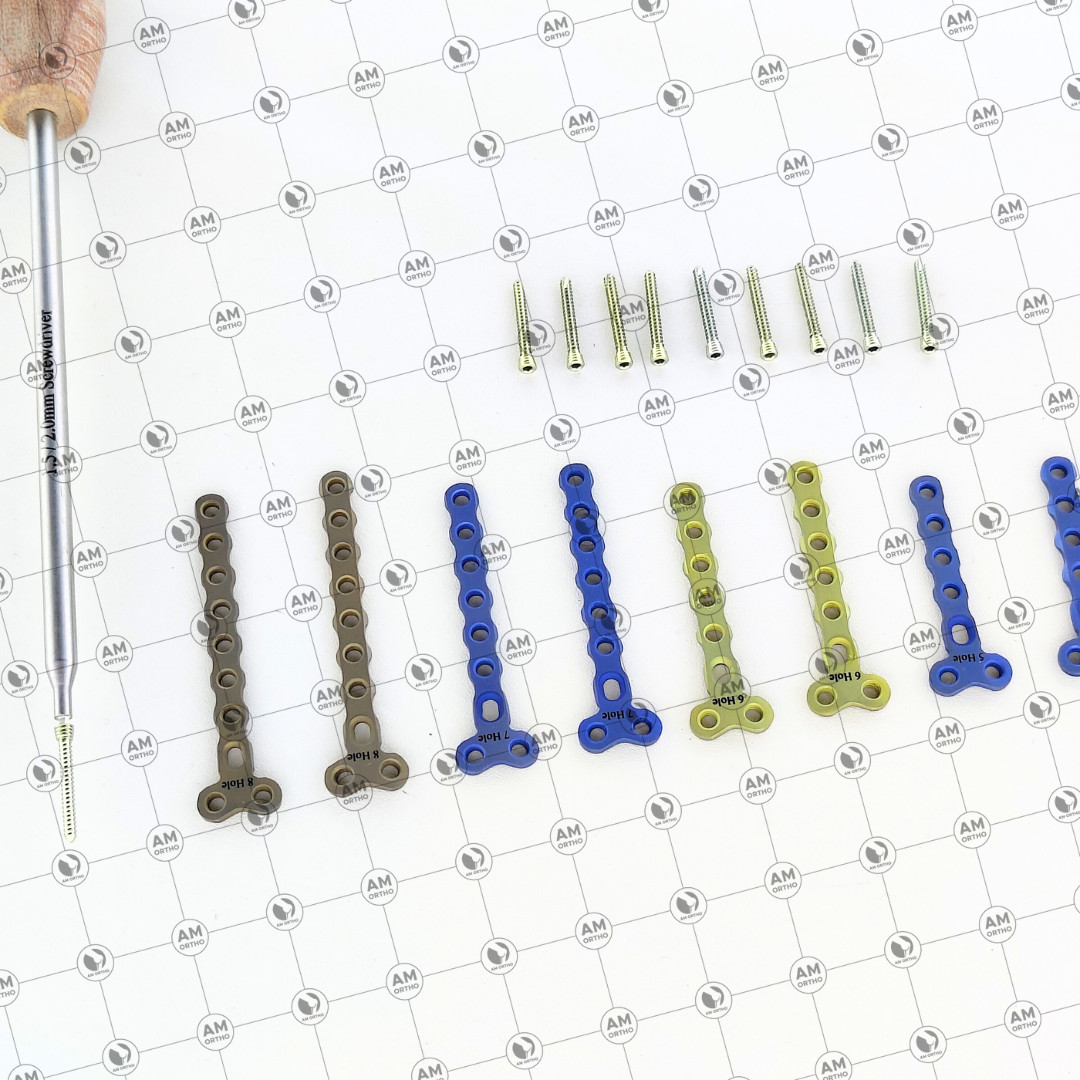 Veterinary 2.0mm Locking 2 Hole Head T Plates with Locking Screws 69 Pcs Set Ti