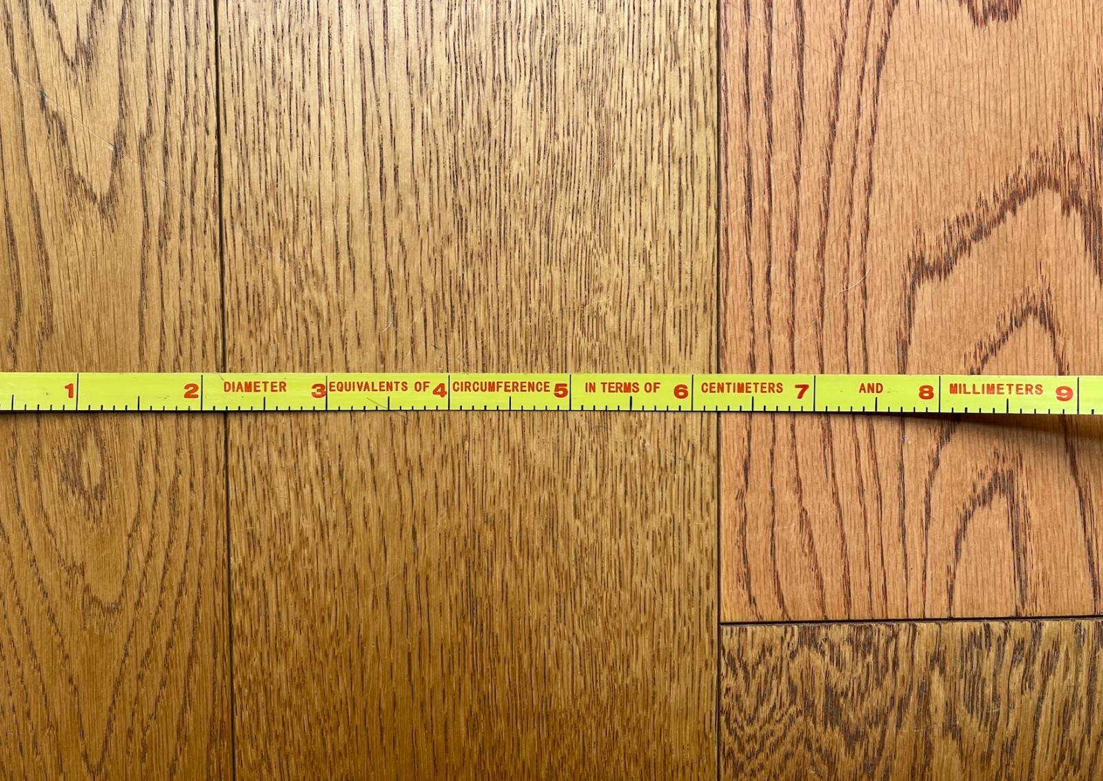 30m Metric Logger’s Tape (new refill) and Guard/Holster
