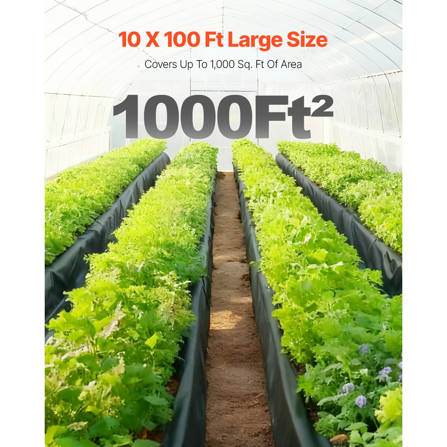 Uimoso 10Mil Plastic Sheeting Roll 10 x 100 FT Heavy Duty Polyethylene Black