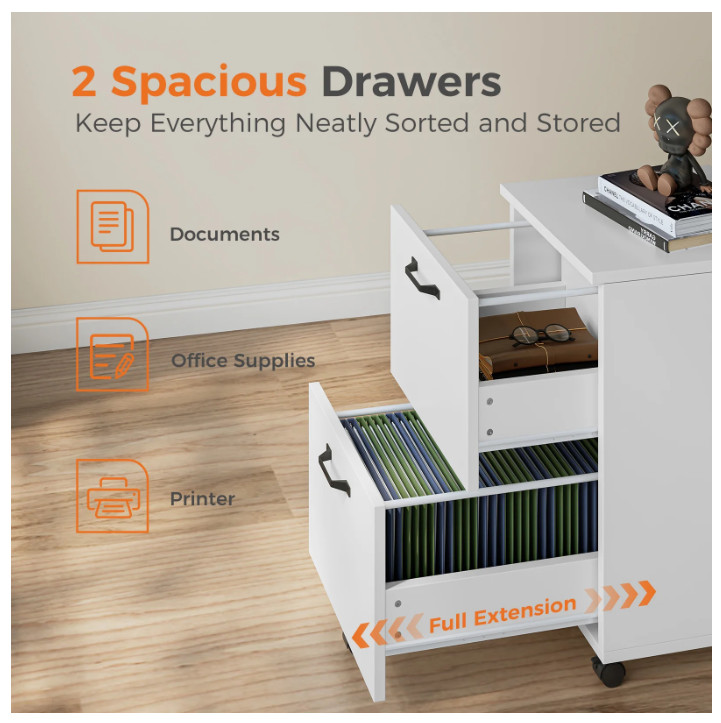 Gianna 2 Drawer Rolling File Cabinet Printer Stand with Storage Lockable Wheels