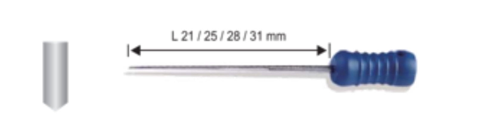 60pcs Forever Dental Spreaders SSS NITI L21/25/28/31mm