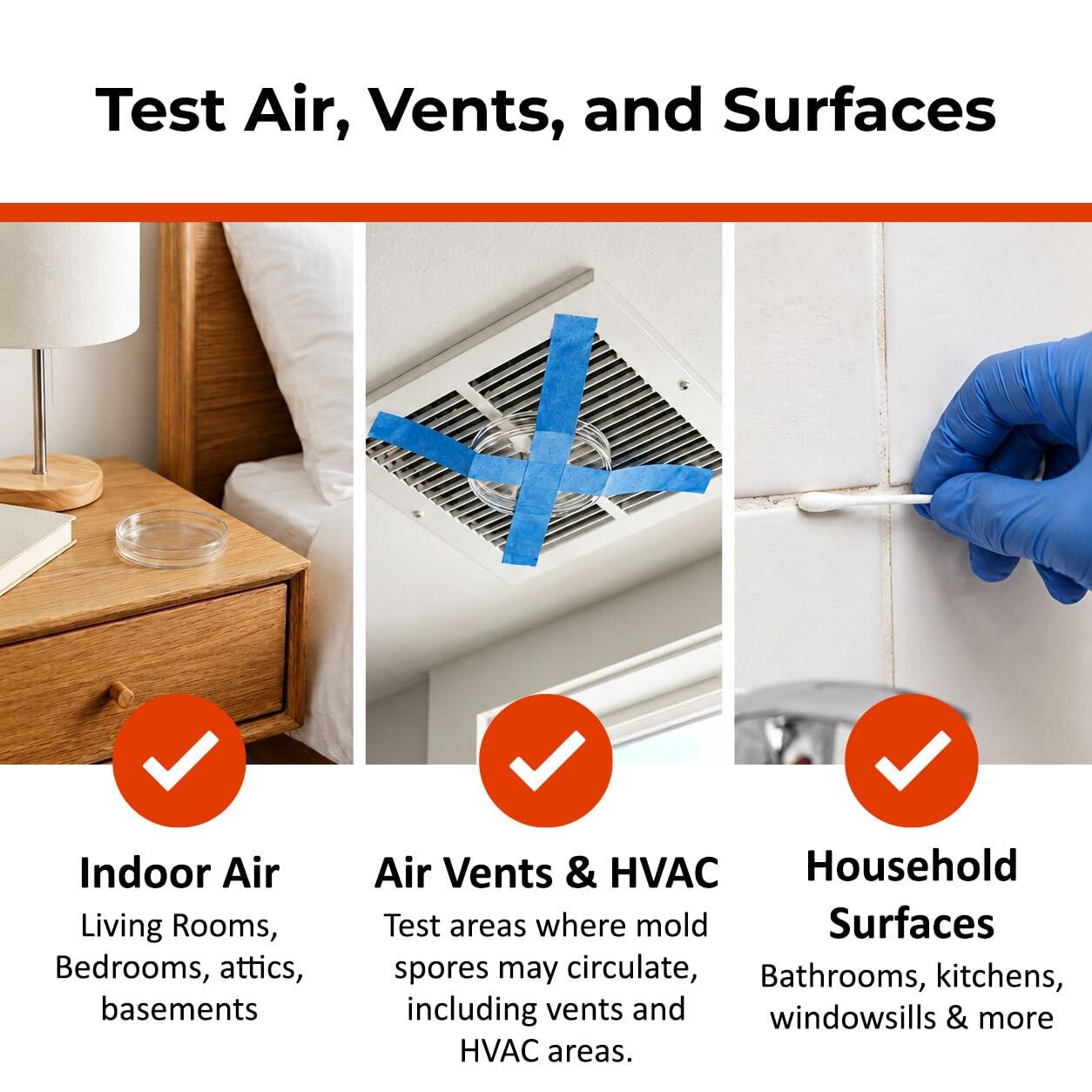 Mold Test Kit for Home Air Quality | Air Quality Test Kit & Black Mold Detect…