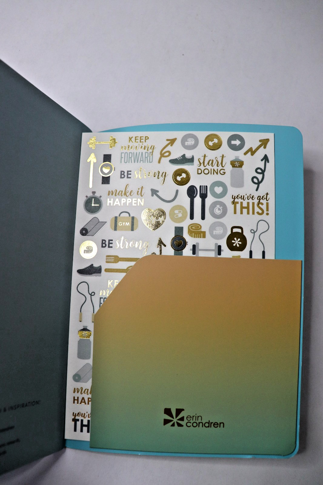 Erin Condren Planner Wellness Log Gradient