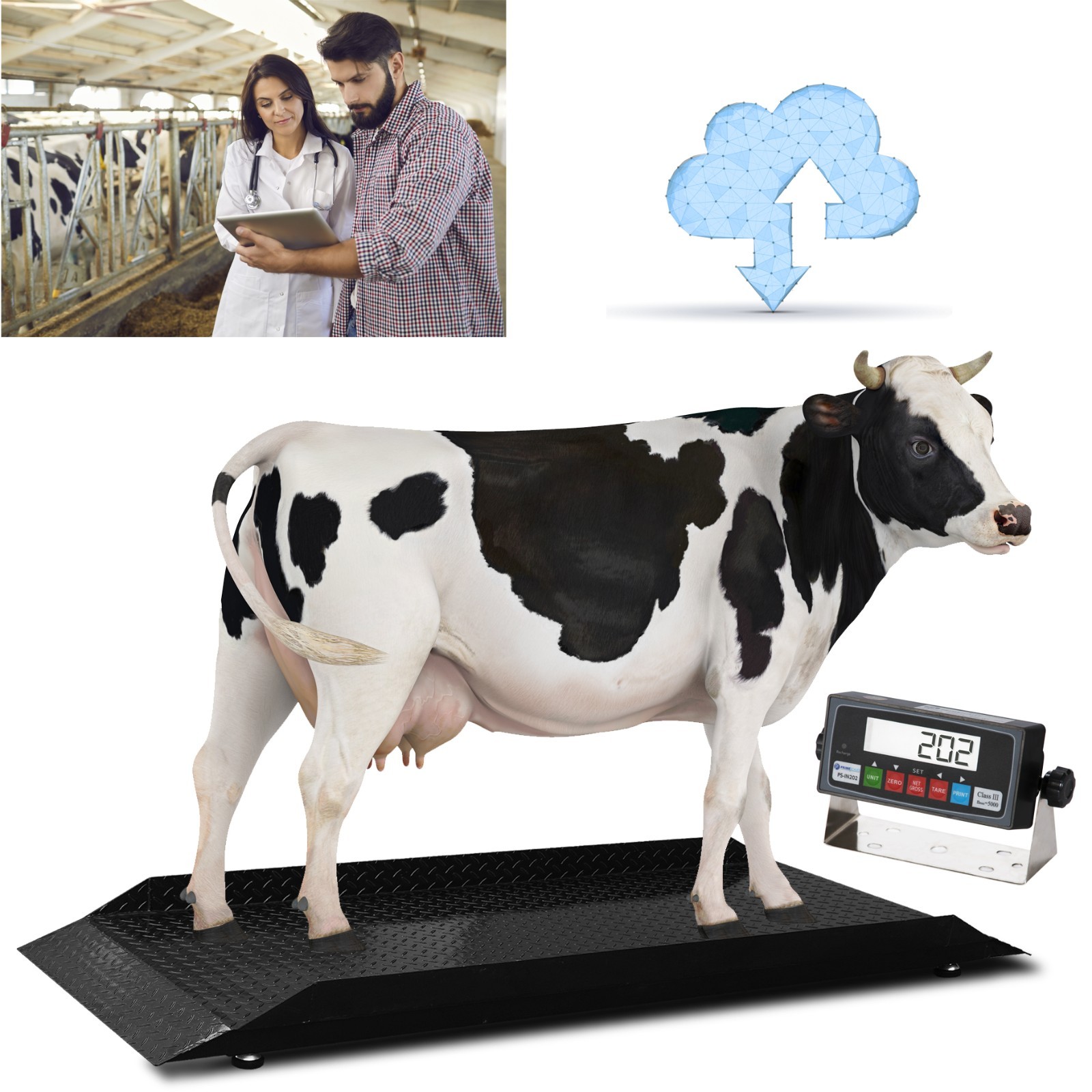 Prime Scales PS-929 Livestock & Cattle Alleyway Scale 5000 lbs x 1 lb NEW