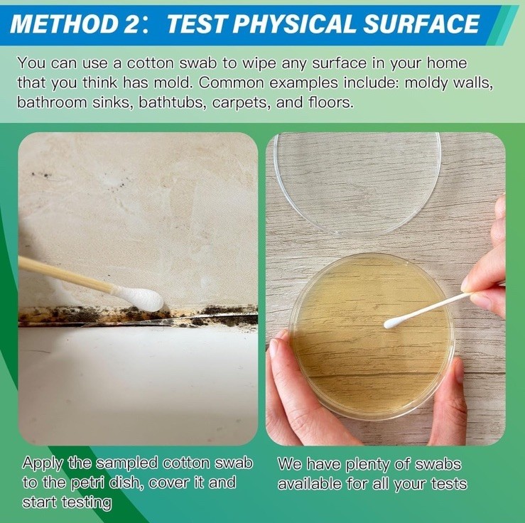 Mold Test Kit for Home – 12 Simple Detection Tests,Test HVAC System,Home Surf…