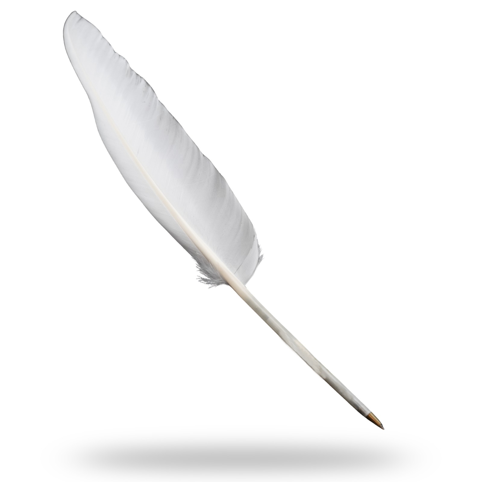 Fancy White Goose Feather Pen Black Ink Ballpoint Wedding, Office, Signing Quill