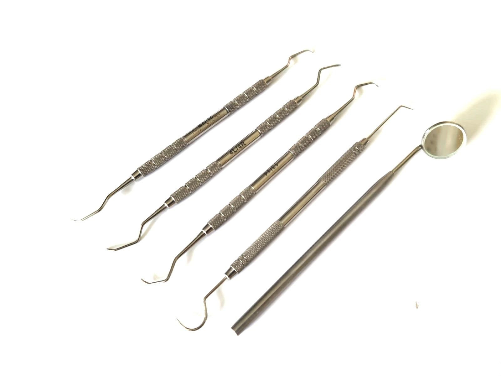 Set of Dental Pick & Mirror Tool Sculpture Instrument Oral Kit Tooth Teeth