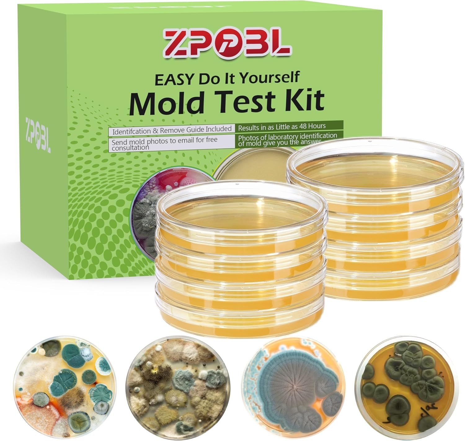 Mold Test Kit for Home, 8 Detection Tests for HVAC, Surfaces & Indoor Air Qualit