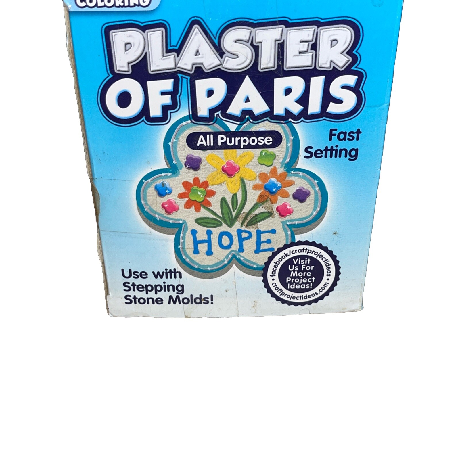Plaster of Paris, ALL PURPOSE Sets In 20 To 30 Minutes – 4 Lbs Paint & Color