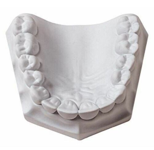 DENTAL LAB PLASTER STONE WHITE TYPE II REGULAR SET 5 Lbs
