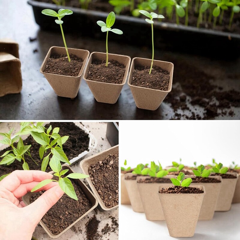 120 Pack Square Peat Pots for Seedlings, Growing Pots with Drainail8910-