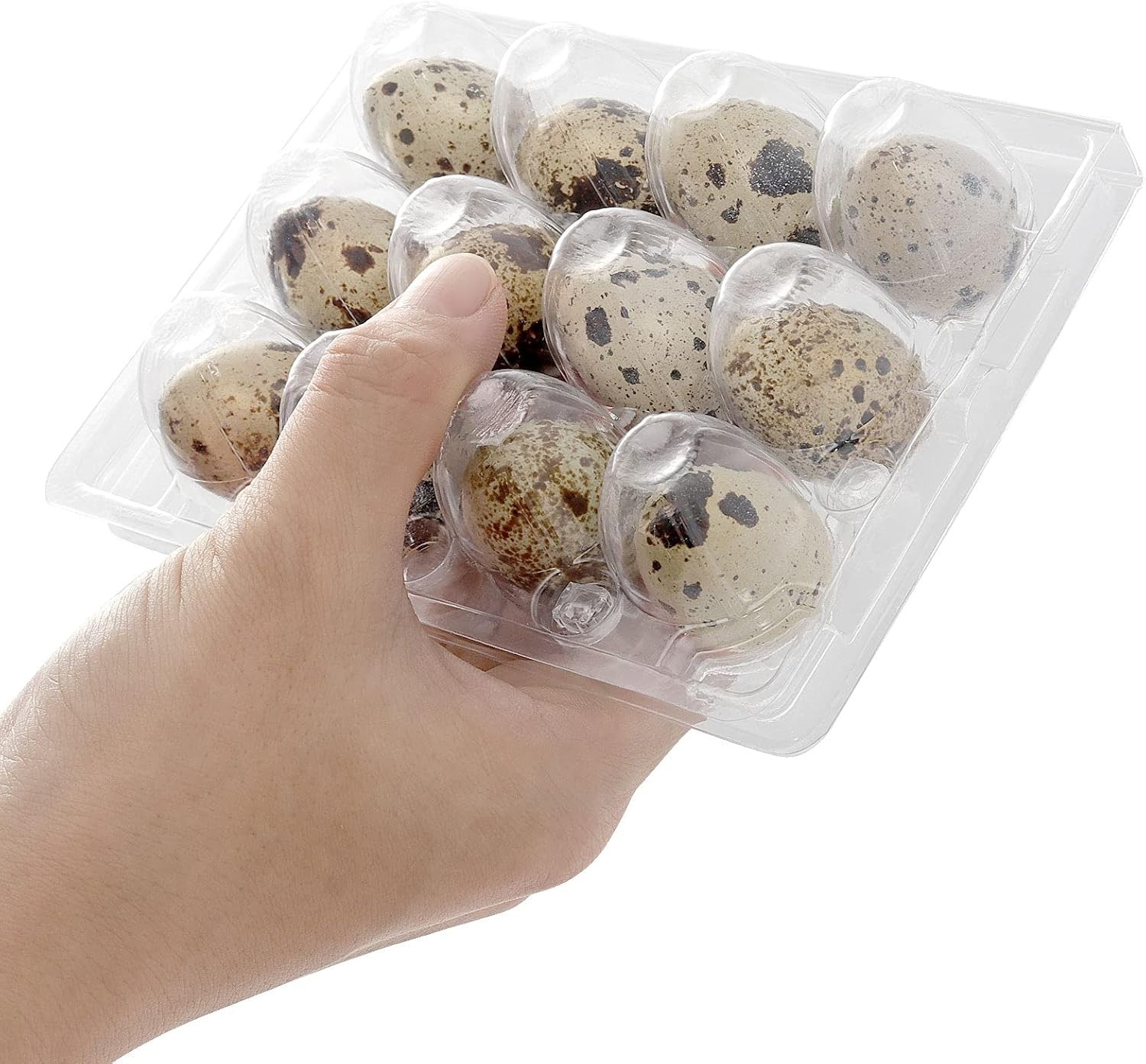 50 PCS Clear PVC Quail Egg Cartons – Stackable & Lightweight Storage
