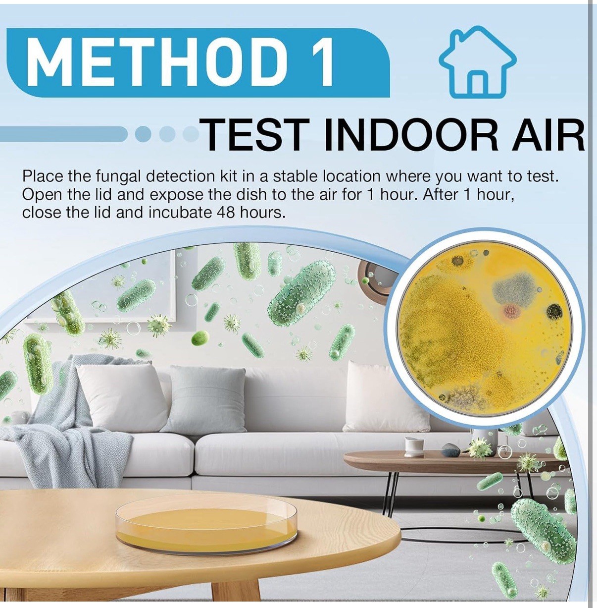 Mold Test Kit for Home