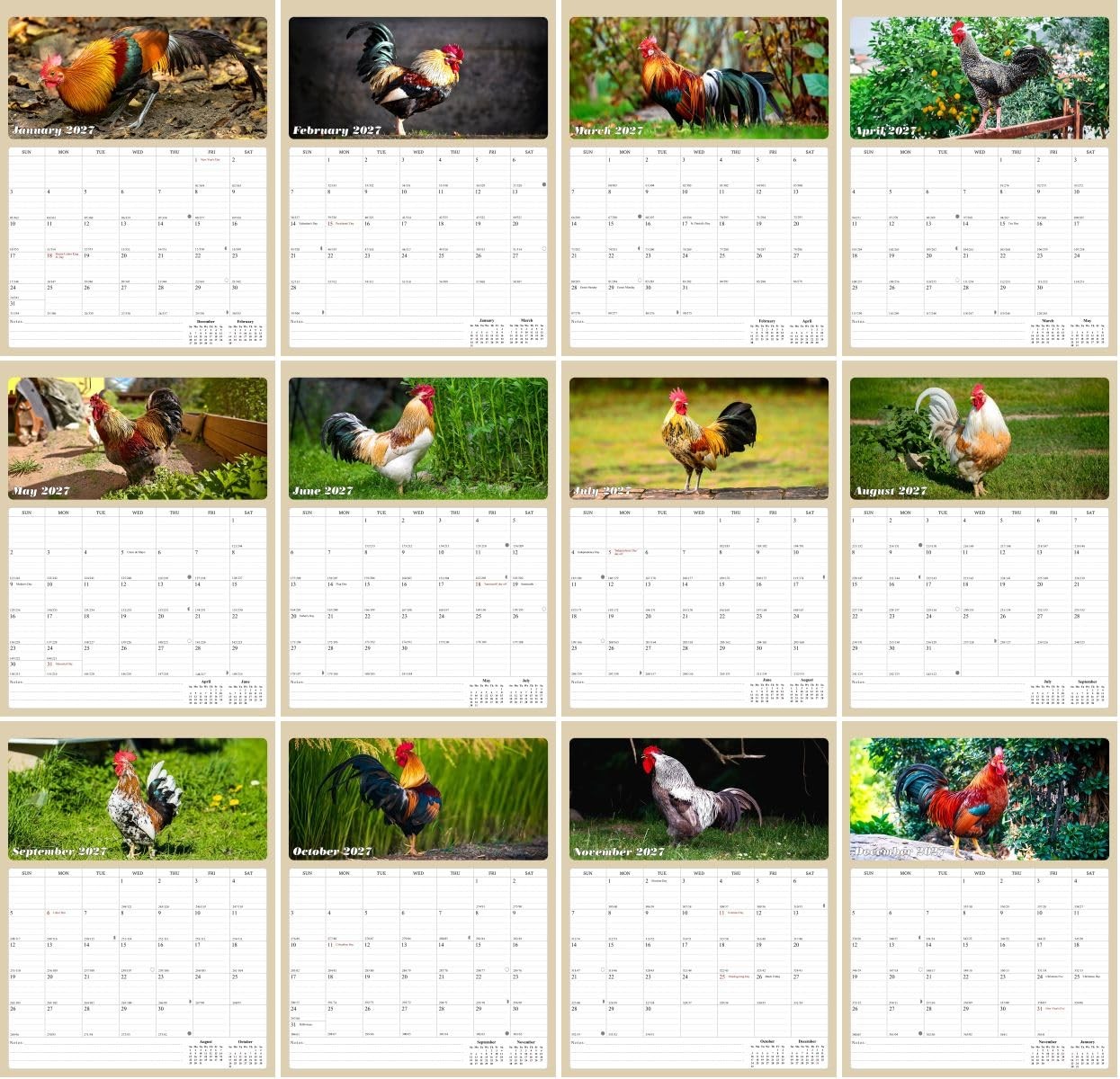 2027 Wall Calendar Spiral-bound Twin-Wire Binding – 12 Months multicolor