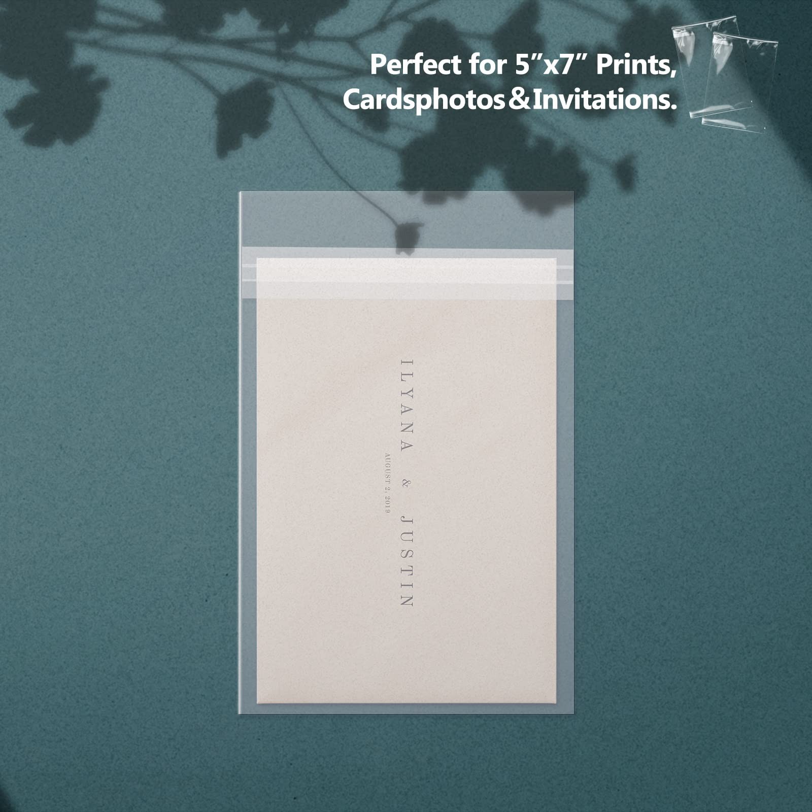 Golden State Art, 5″x 7″ Acid-Free Crystal Clear Sleeves Storage 5×7,