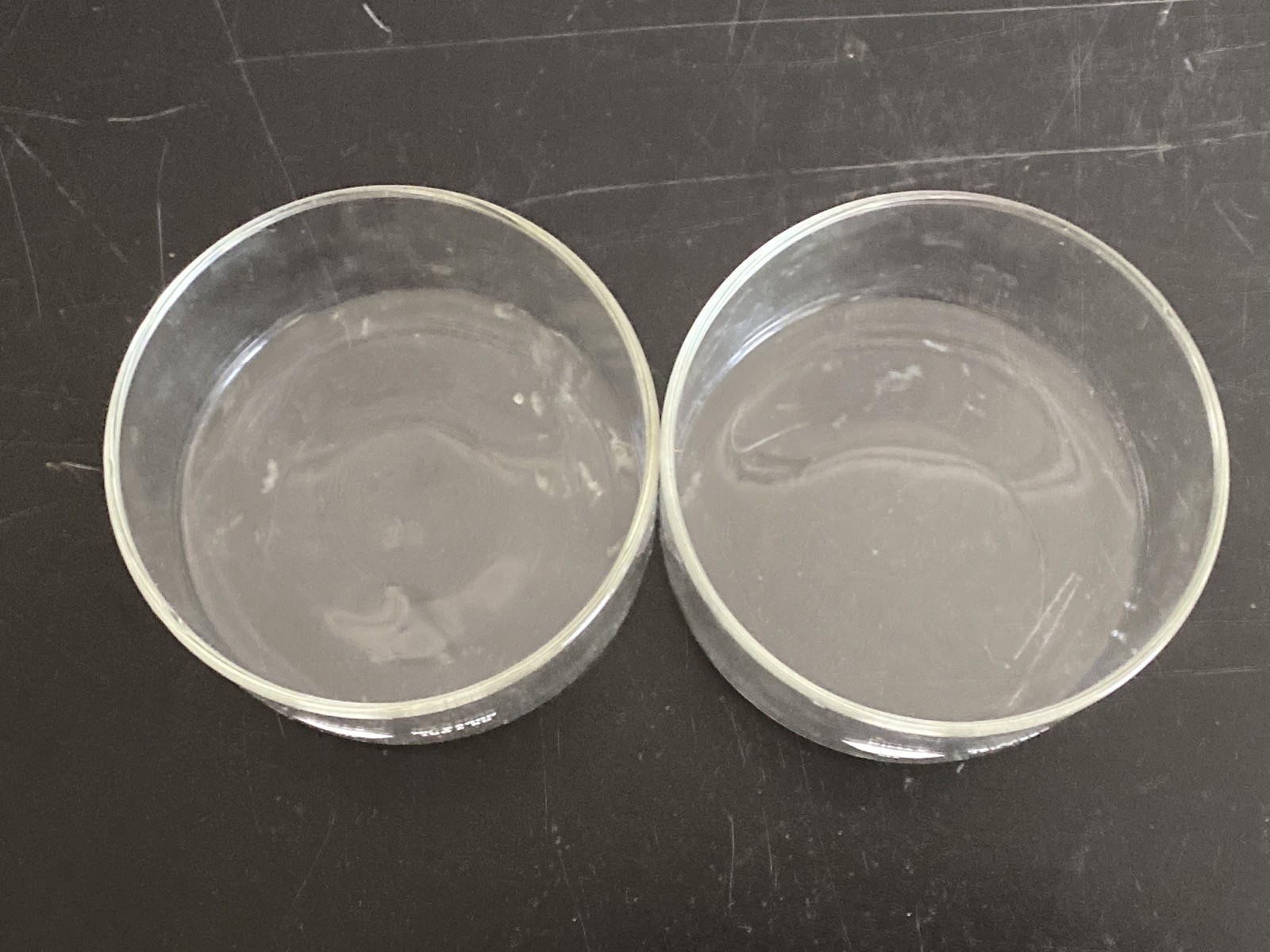 Used (2) KIMAX Glass 100x50mm 340mL Crystallizing Dishes 23000-10050