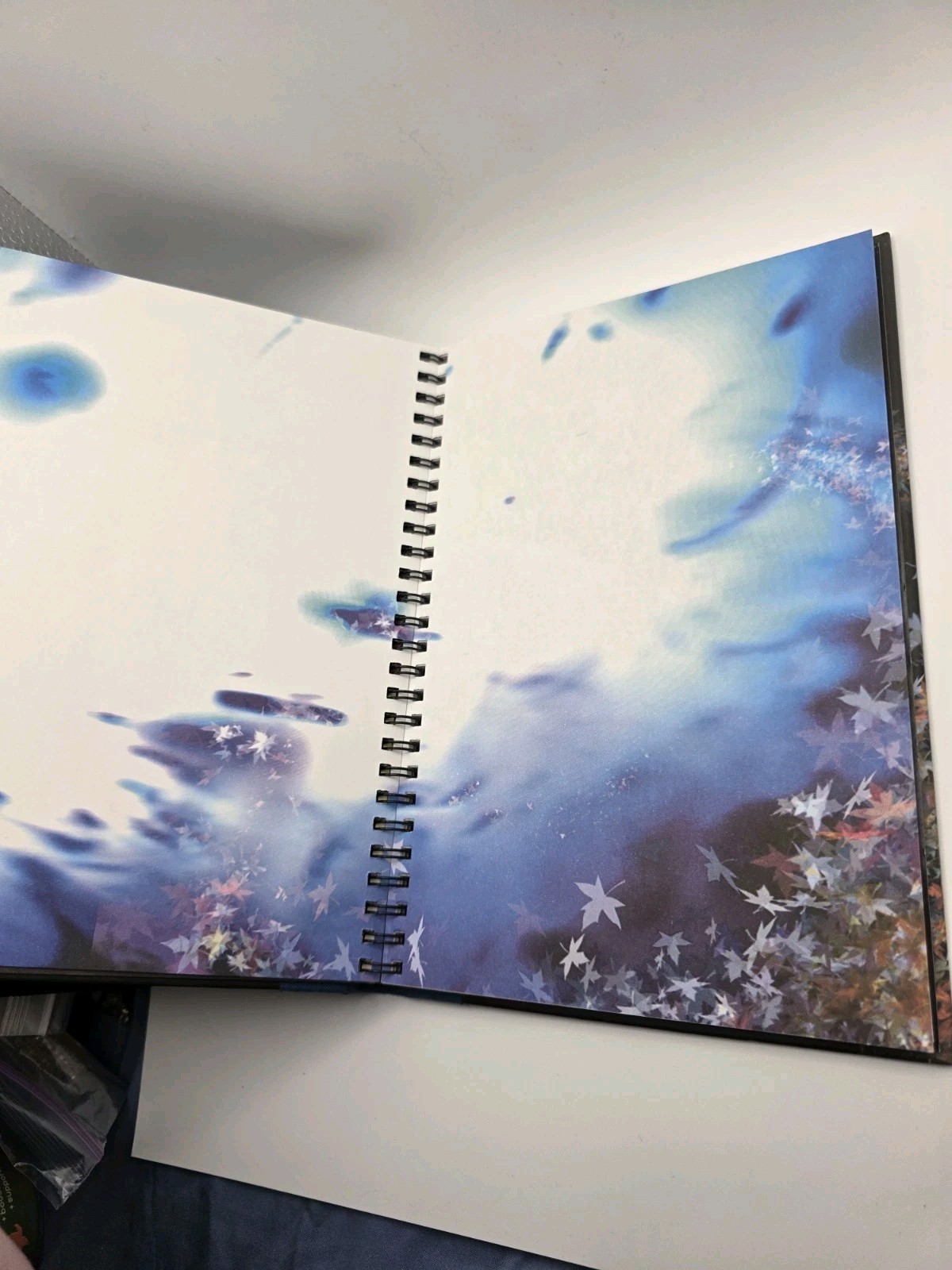 Canvas – RARE Lined Journal Blank Book New draw & Dream