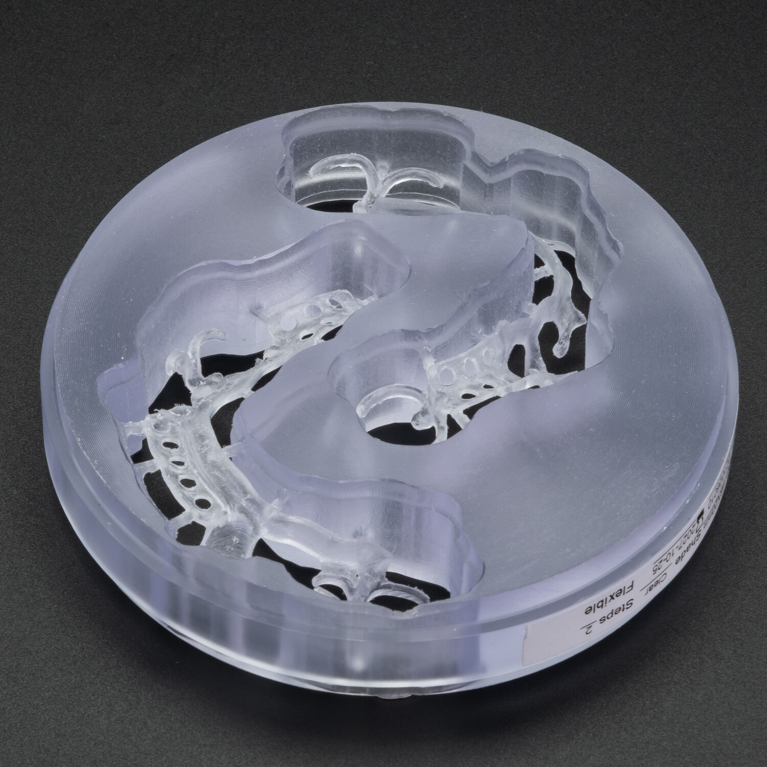 NOBILCAM Flexible Disc Block Nylon Resin Clear Shade 98mmx20mm for Bite Splint