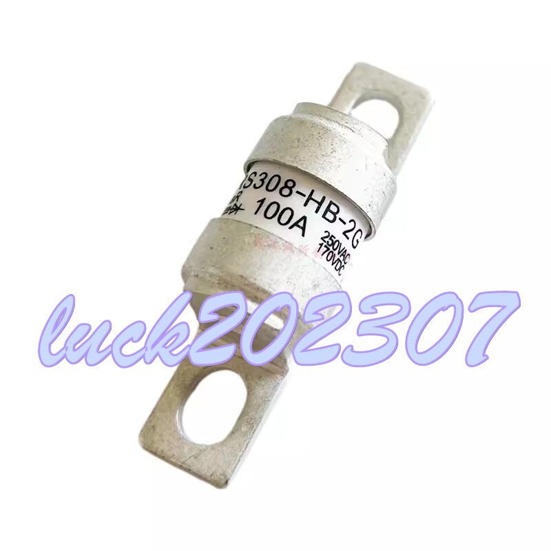 1PC NEW RS308-HB-2G 20/32/35/40A/50/63/80/100A/125A/160/180A Fuse #CL