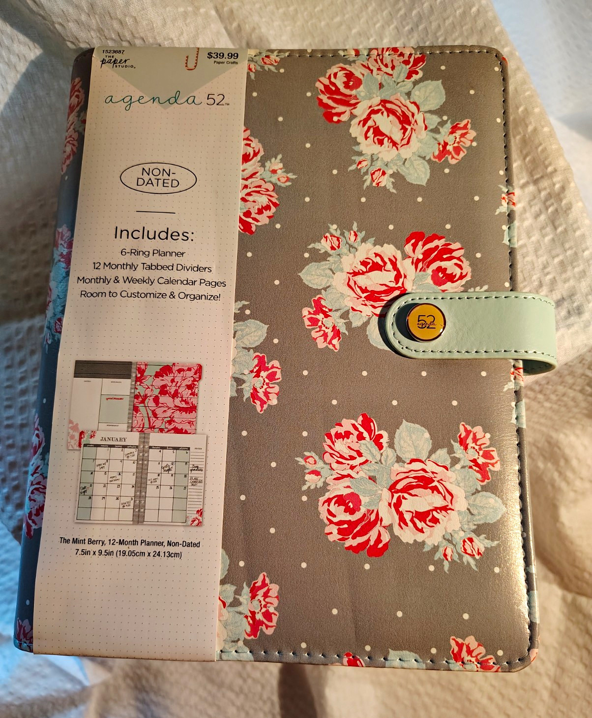 New The Paper Studio Agenda 52 Non-Dated Monthly/Weekly 7.5×9.5 Mint Berry