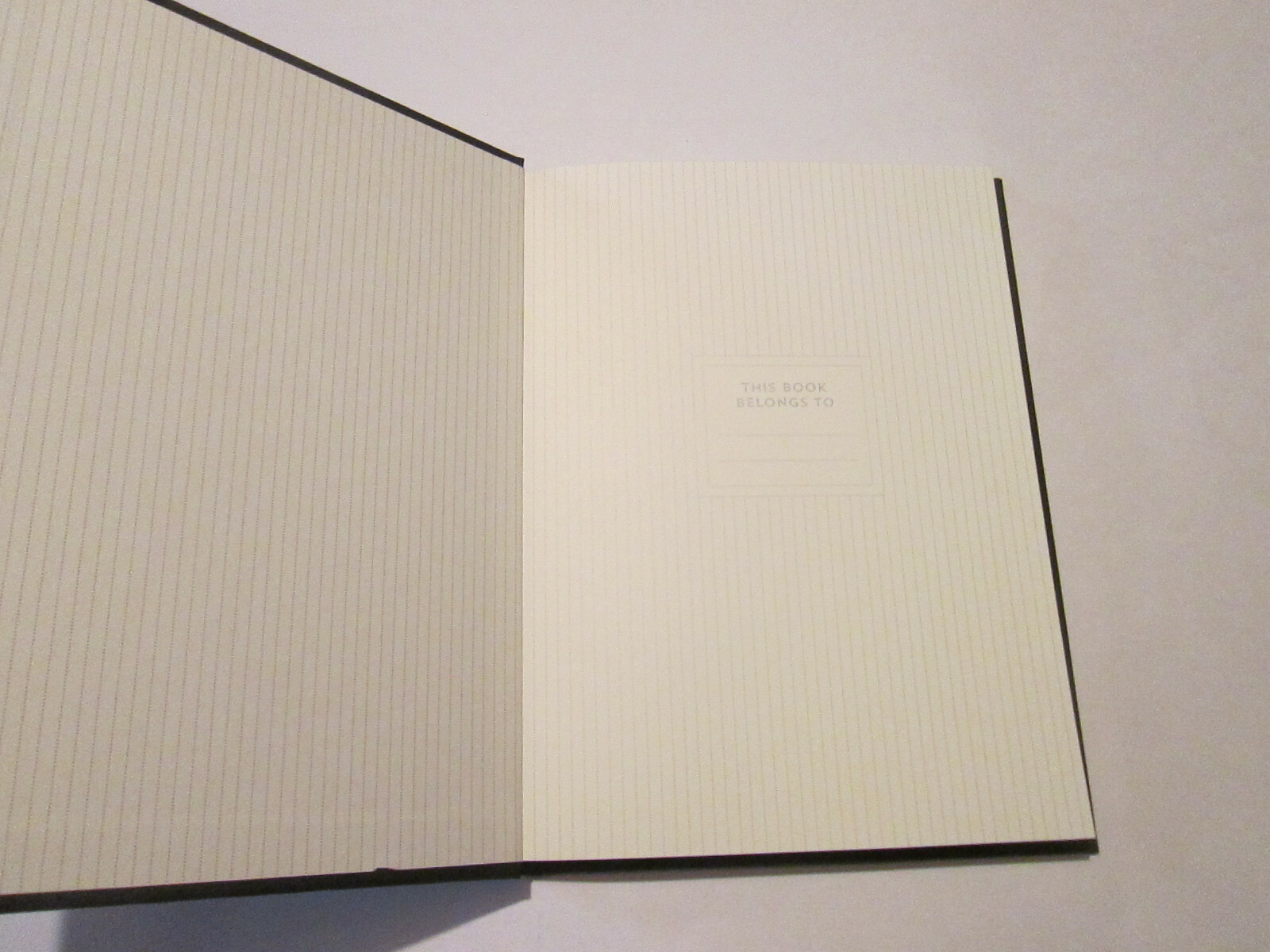 Blank Book Journal Black with Silver Embossed Design Barnes & Noble NEW UNUSED
