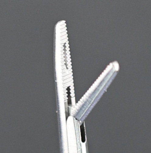Jarit 380-150 Hartman Alligator ENT Forceps, Serrated, 1.8mm Jaw, Straight, 85mm