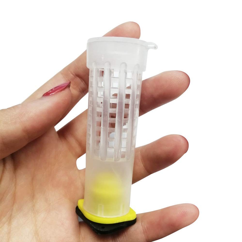 APlayfulBee Beekeeping Rearing Cup Kit—Queen Bee Roller Cage 9.8*7.08*3.14