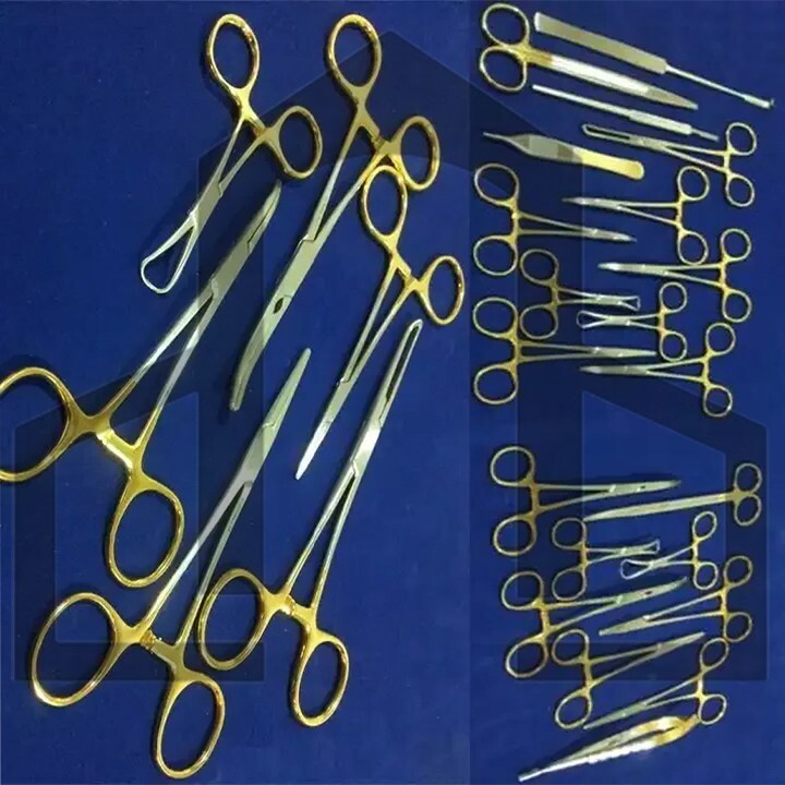 21 PCS Set GOLD HANDLE T/C FELINE SPAY PACK SURGICAL INSTRUMENTS KIT