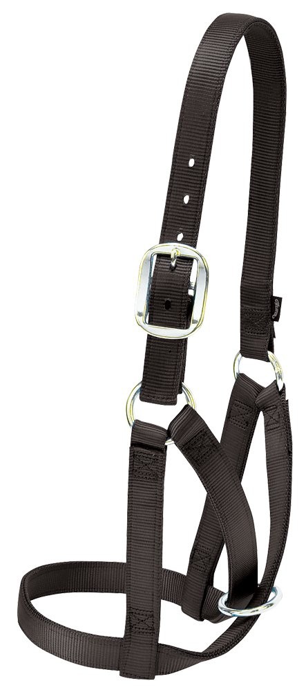 Weaver Livestock Barn Cow Buckle Cattle Halter, Adjustable, X-Large, Black