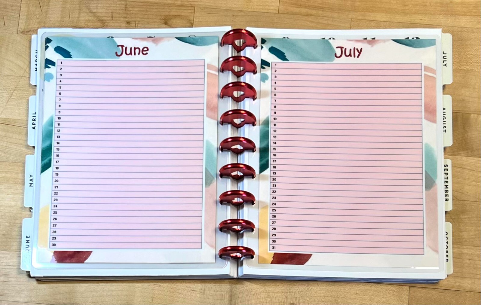 Set of 6 (Six) Month at a Glance Dashboard Inserts for use with Happy Planner-