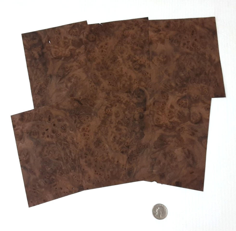 1 Lot Of 6pcs Walnut Burl Raw Veneer Shorts, Lot #381