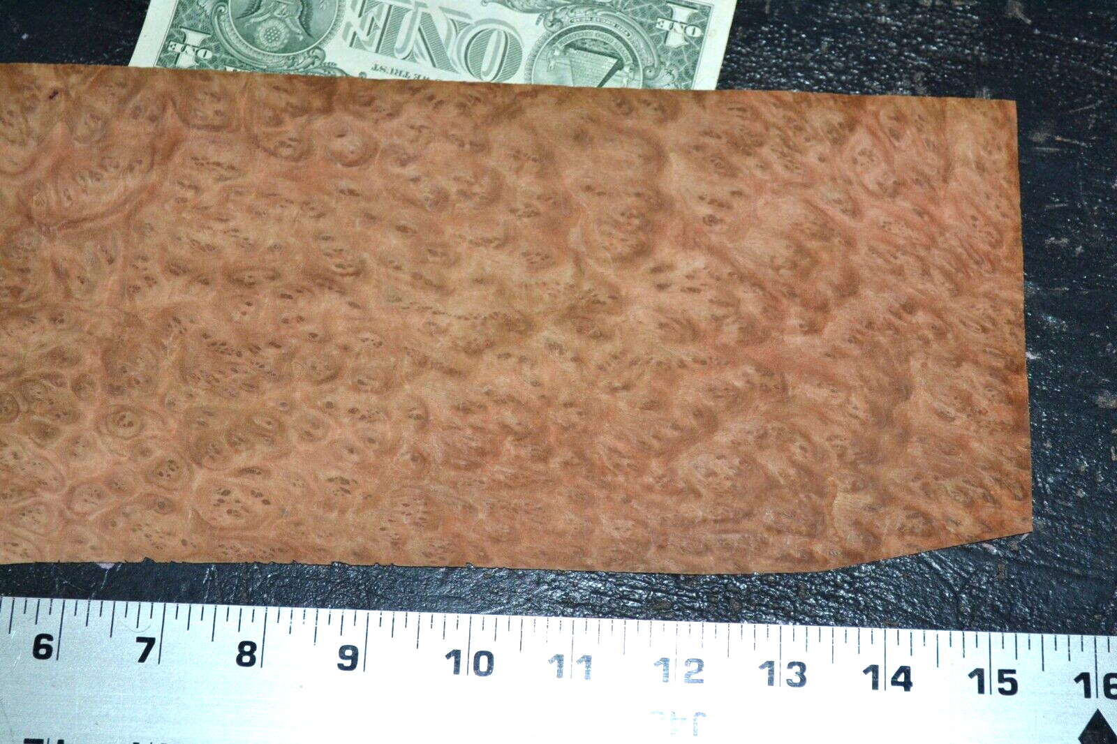 Eucalyptus Burl Raw Wood Veneer Sheets 5 x 13 inches 1/42nd 5940-11
