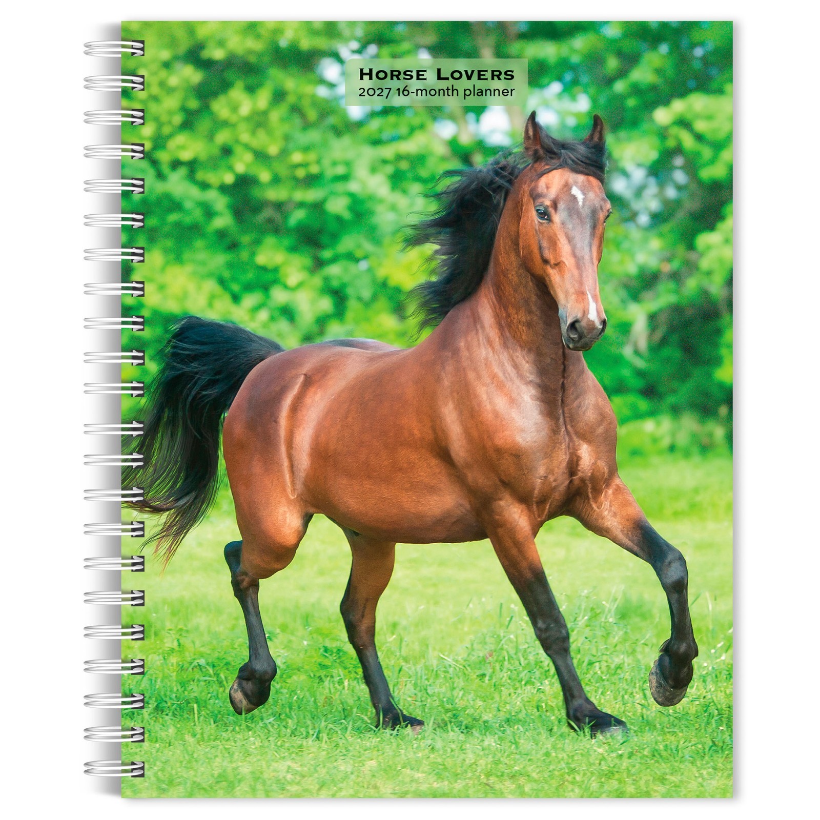 Horse Lovers | 2027 6×7.75″ Spiral-Bound Wire-O Engagement Planner Calendar
