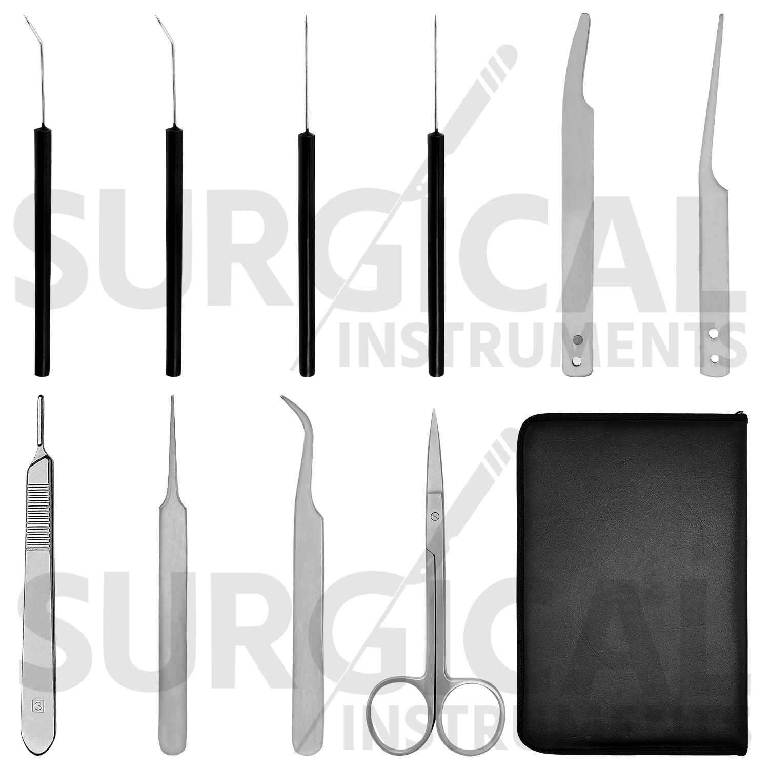 10 pcs Entomological Dissecting Instrument Kit Set Stainless Steel German Grade
