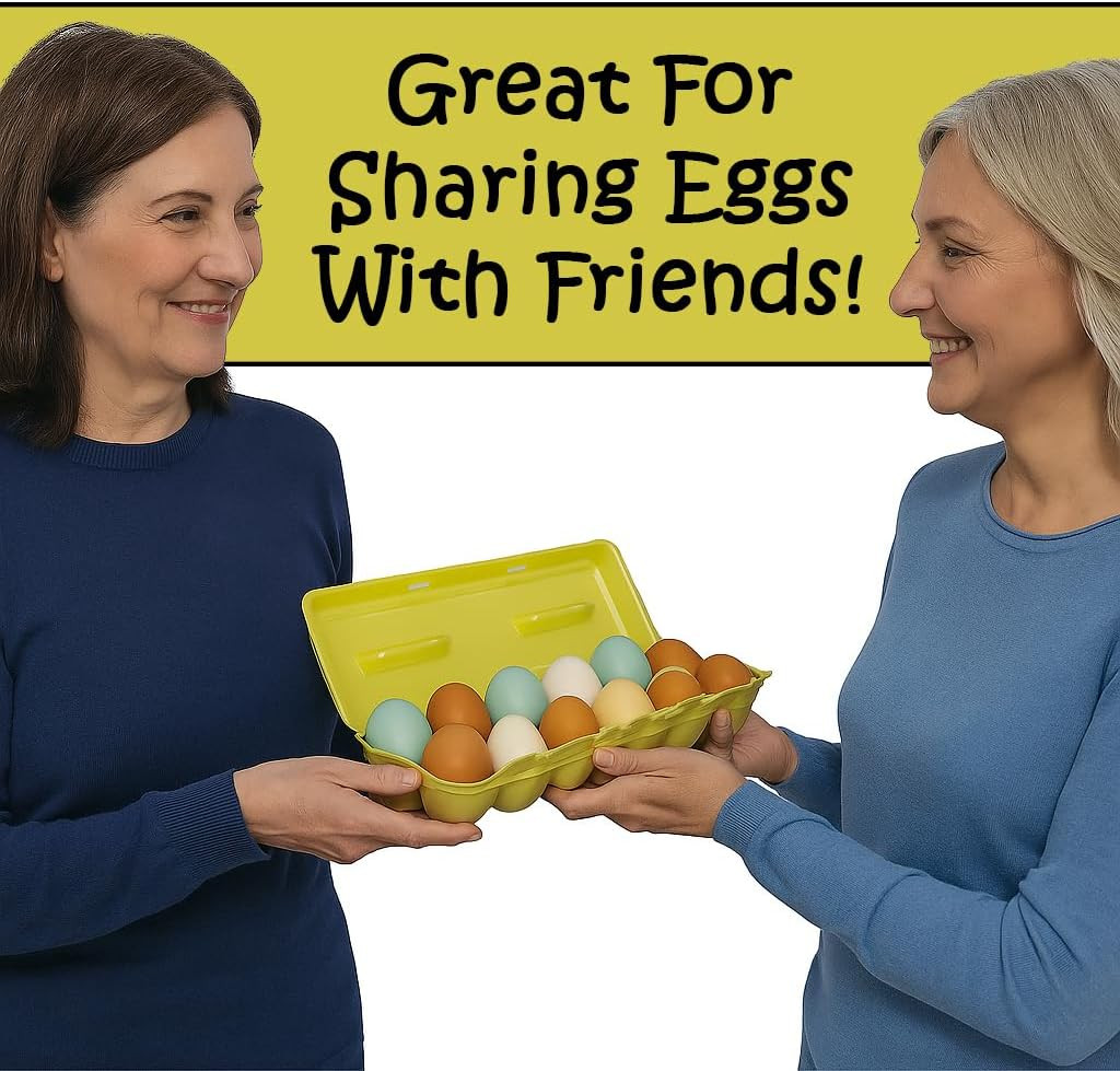 Foam Egg Cartons for Chicken Eggs Holds 1 Dozen Eggs (Assorted, 15Pk)