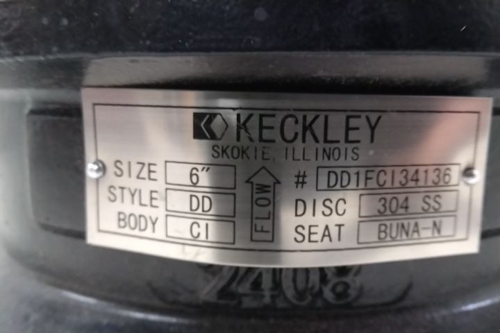Keckley DD1F-CI-34136-600 6 In Pipe 720 GPM Cast Iron Body Check Valve