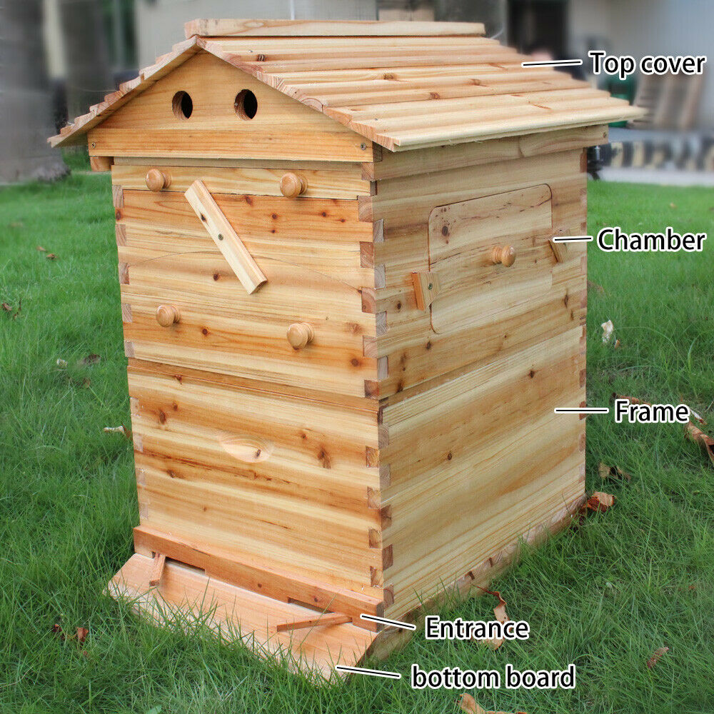7PCS Auto Seeping Honey Bee Hives Beehive Frames +Cedarwood Beekeeping Brood Box