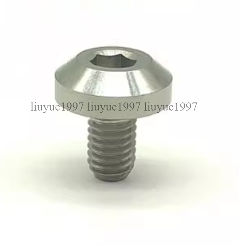 Titanium Bolt M6 M8 Hex Head Ti Screw for Bike Motorcycle 12 15 20 25 30 35 40mm